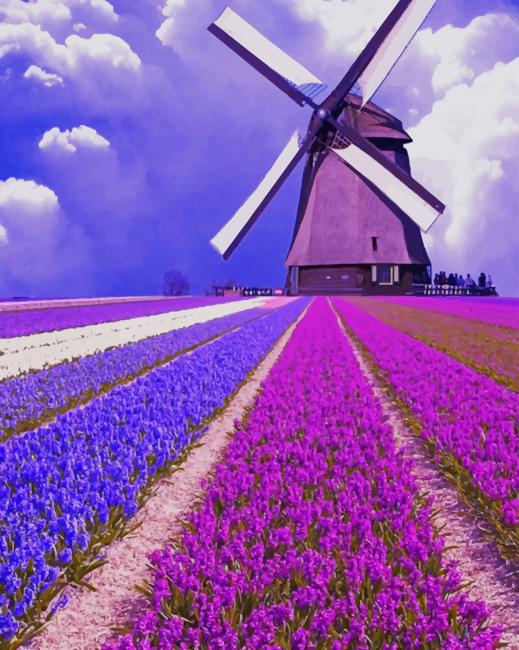 

Lavender Field – Paint By Numbers - 40*50CM, 501 Original