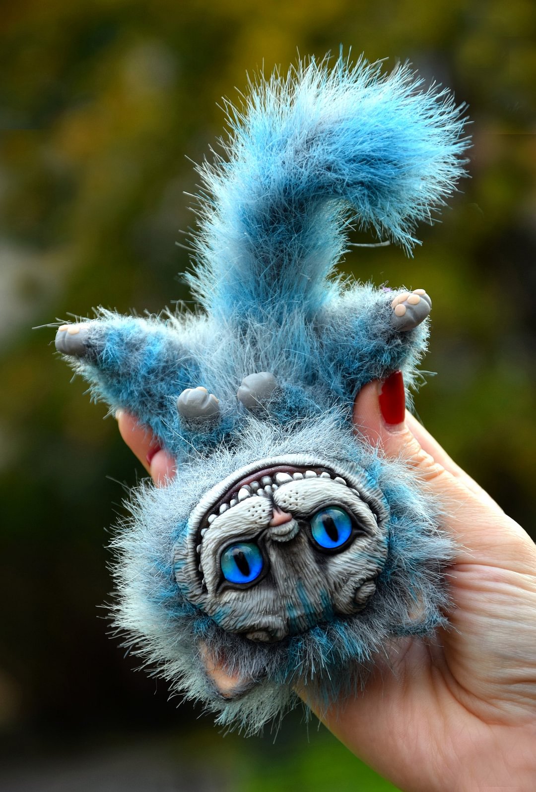 Small Cheshire Kitten