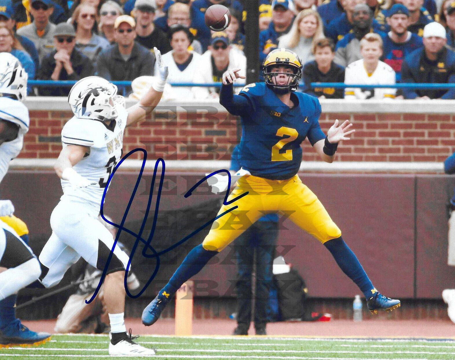 Michigan SHEA PATTERSON Signed 8x10 autographed Photo Poster painting Reprint