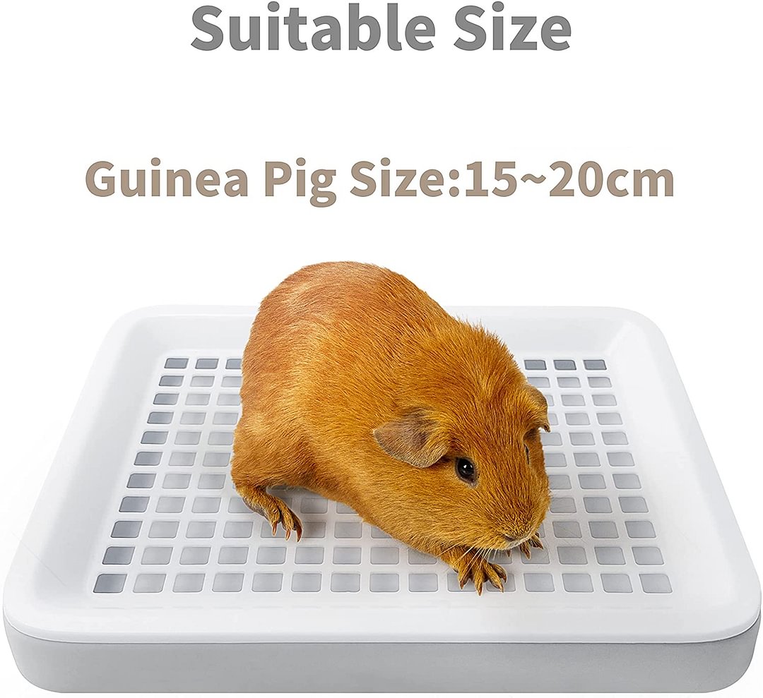 Guinea Pig Toilet, Small Animal Potty Trainer Corner, Square Rat Litter