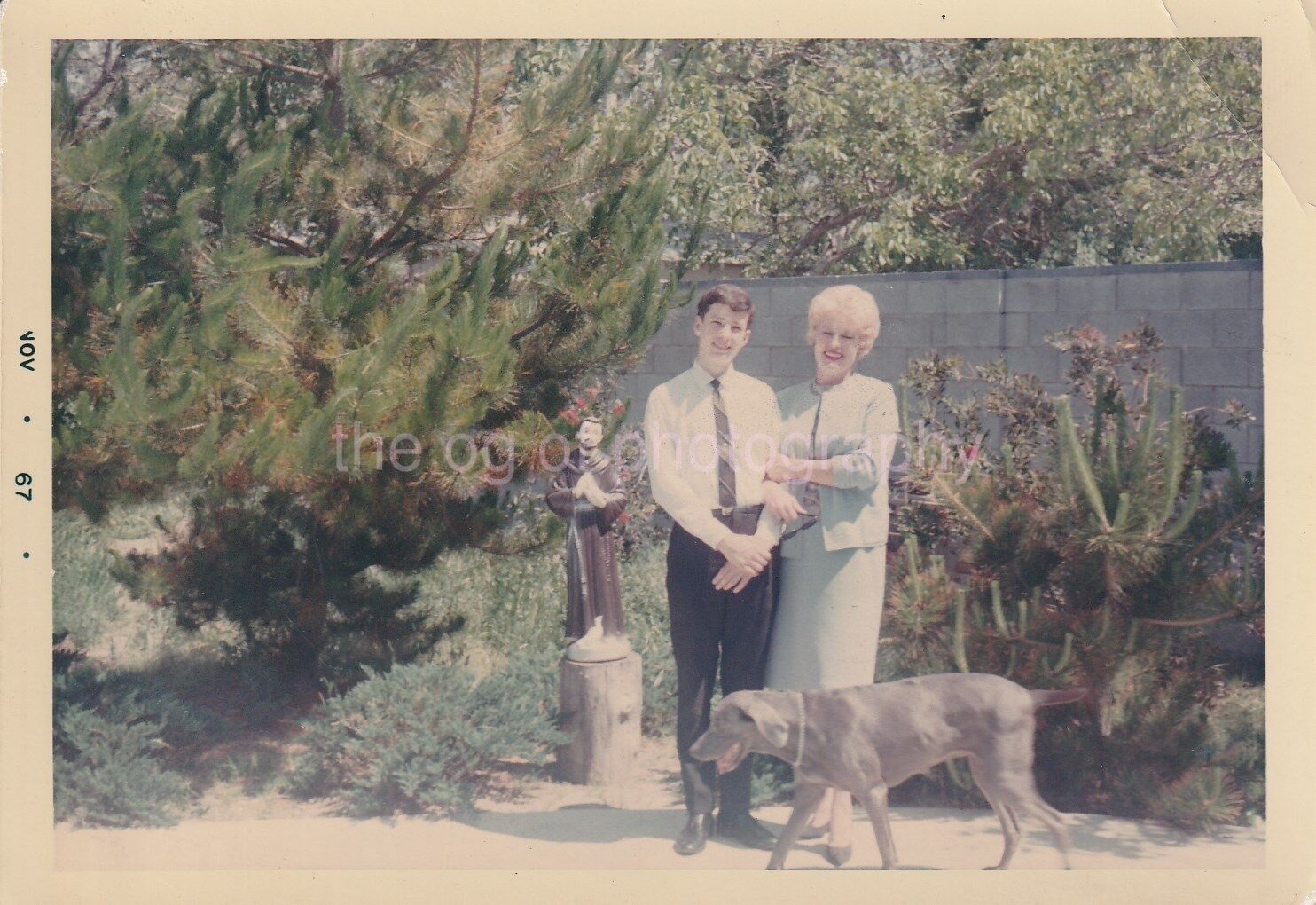 1960's Backyard Portrait With Statue + Dog 1967 FOUND Photo Poster painting85 23T