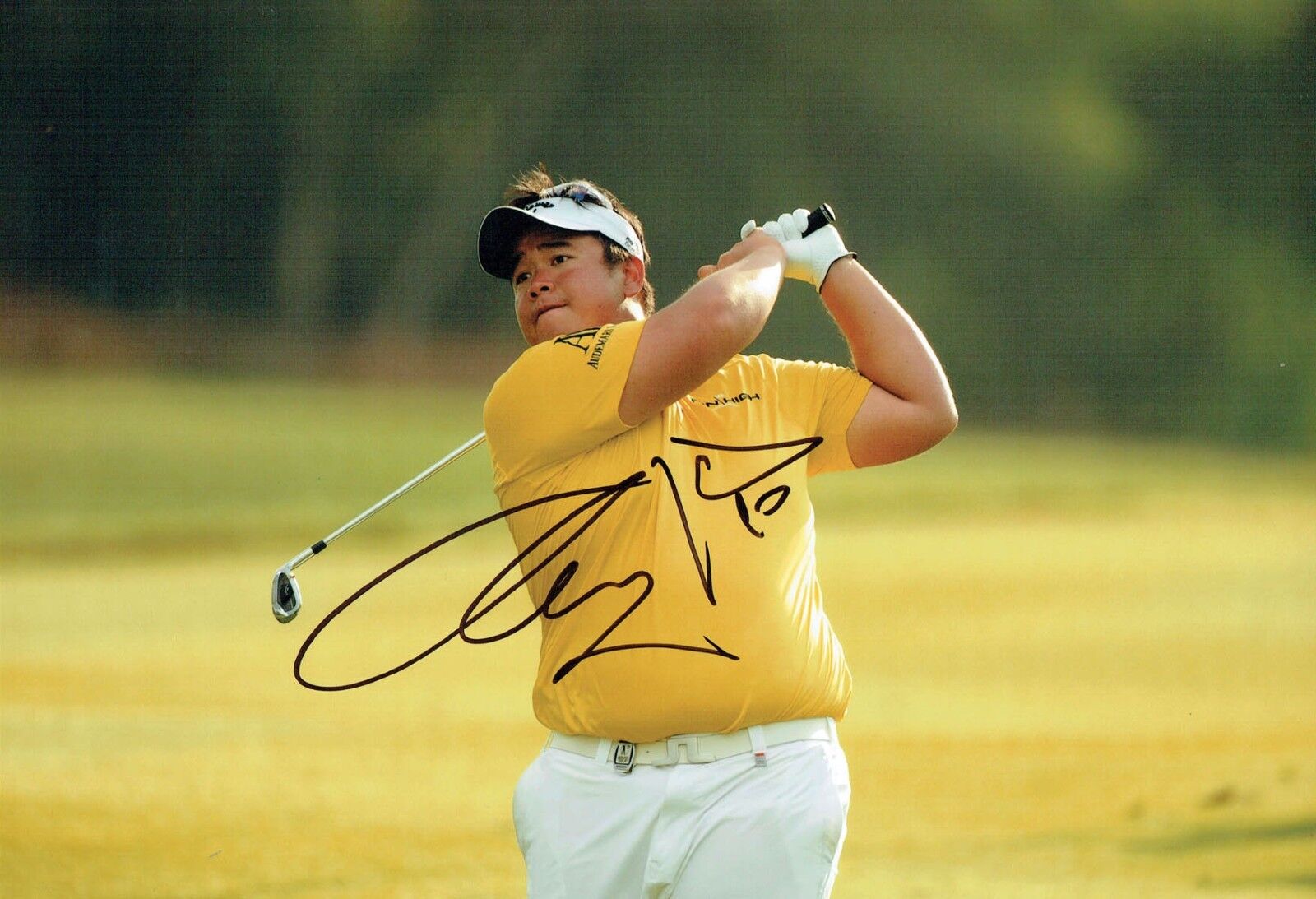 Kiradech APHIBARNRAT 2017 Signed 12x8 Photo Poster painting A Autograph Golf AFTAL COA