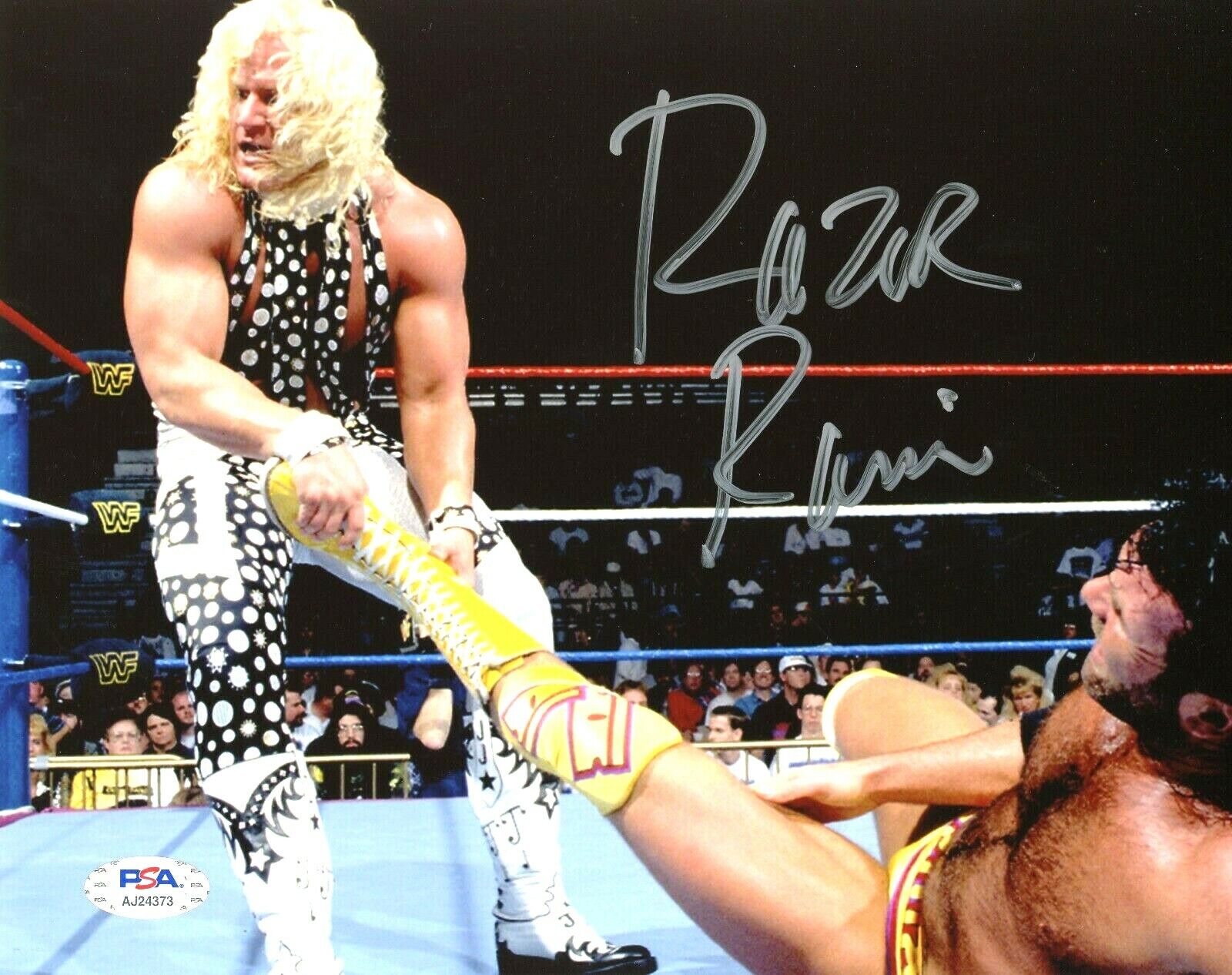 WWE RAZOR RAMON HAND SIGNED AUTOGRAPHED 8X10 WRESTLING Photo Poster painting WITH PSA COA RARE 2