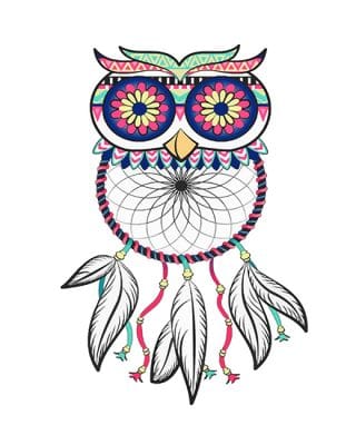 

Dream Catcher Owl – Paint By Numbers - 40*50CM, 501 Original