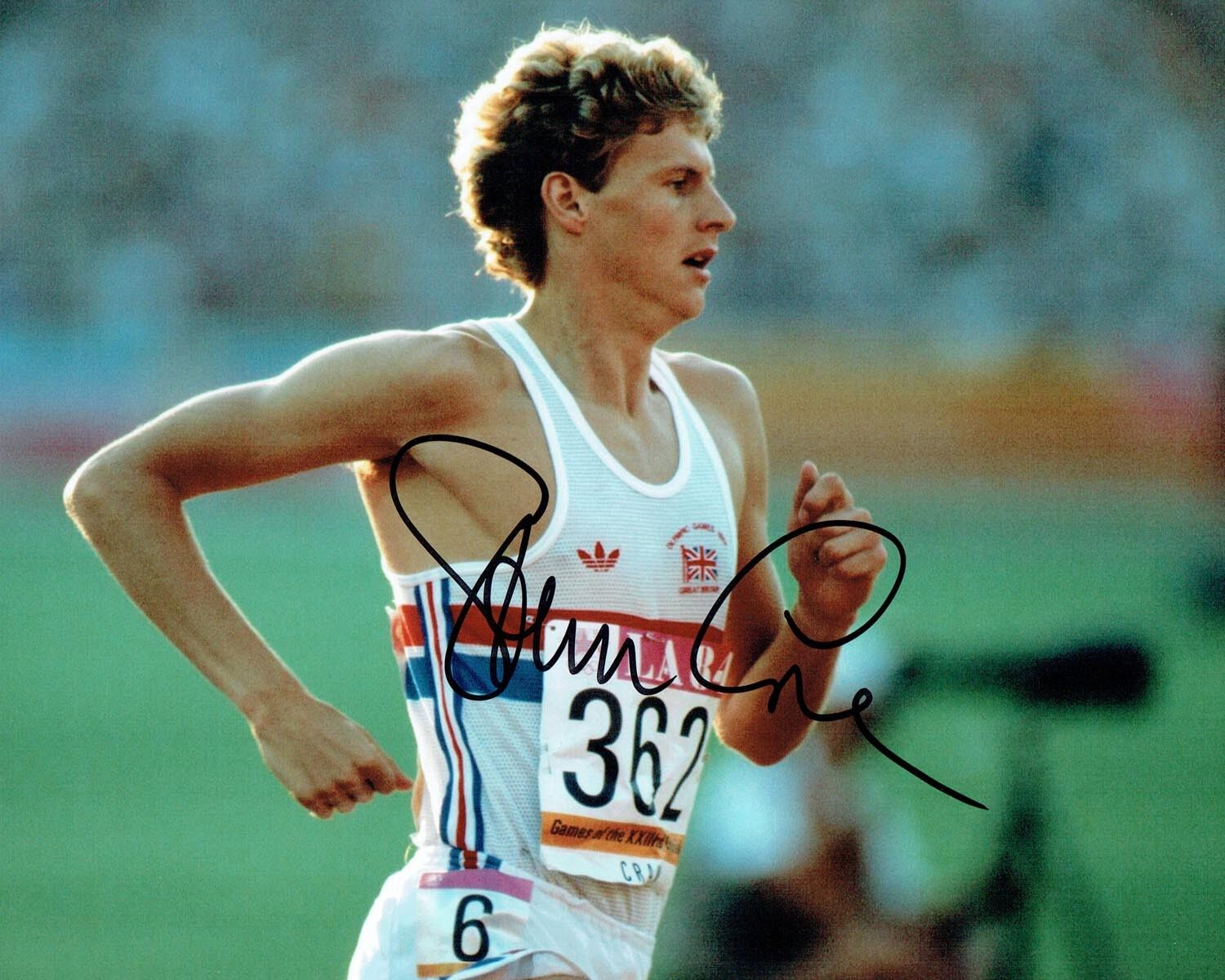 Steve CRAM Signed Autograph Olympic Games 10x8 Athletics Photo Poster painting B COA AFTAL