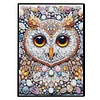 2pcs Owl Partial DIY 50 Pages A5 Diamond Painting Notebook for Study Drawing