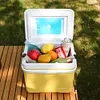 15L Camping Cooler Box Insulated Ice Chest Portable Ice Bucket for Outdoor Use