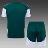 Joyfball 2026/2027 Italy Short sleeve green training Jersey+Shorts