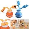 Interactive Dog Toys USB Rechargeable Active Rolling Ball for Puppy/Small Dogs