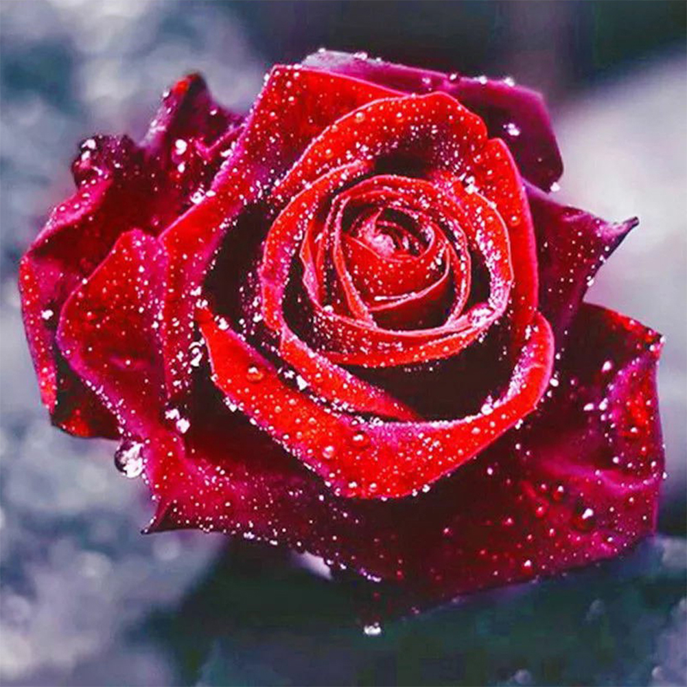 

Rose - Square Drill Diamond Painting - 40*40CM, 501 Original