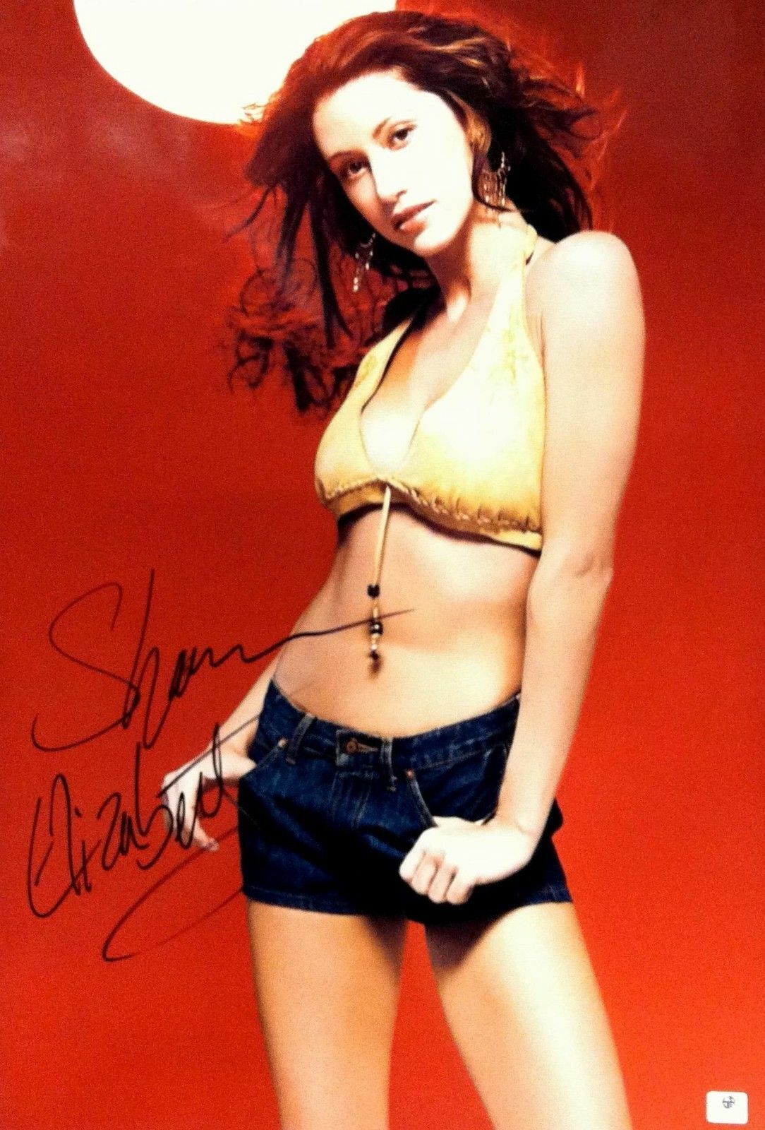 Shannon Elizabeth Hand Signed Autographed 13x19 Photo Poster painting Gorgeous JSA T59790