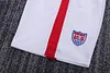 Joyfball 2014 Kids Size Retro United States National team Home Football Shirt 1:1 Thai Quality
