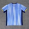 2024/2025 Tottenham Hotspur Away Football Shirt 1:1 Thai Quality