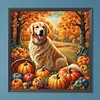 Diamond Painting-DIY Full Round Drill Autumn Dog(40*40CM)