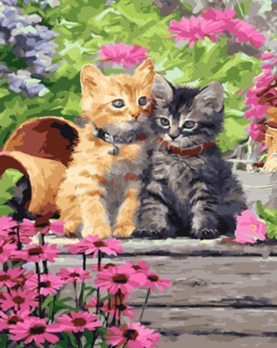 

Pretty Cats – Paint By Numbers - 40*50CM, 501 Original