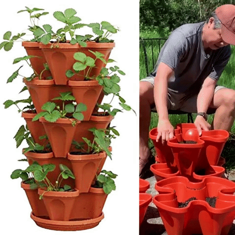 VertiFlora GIF
