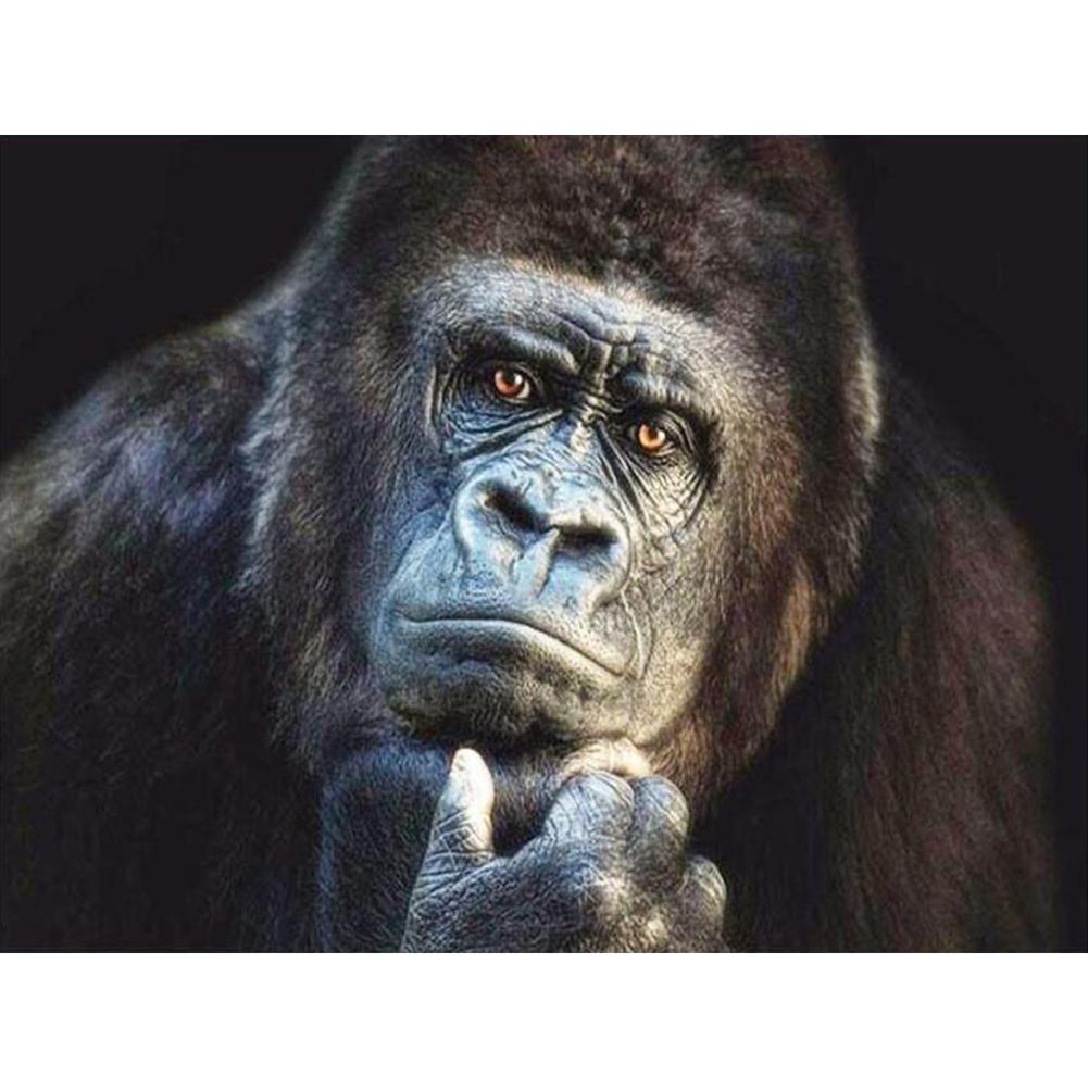 

40*30CM - Chimpanzee - Round Drill Diamond Painting, 501 Original