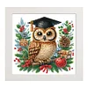 5D DIY Partial Special Shaped Drill Diamond Painting Christmas Owl 22.8x22.8cm