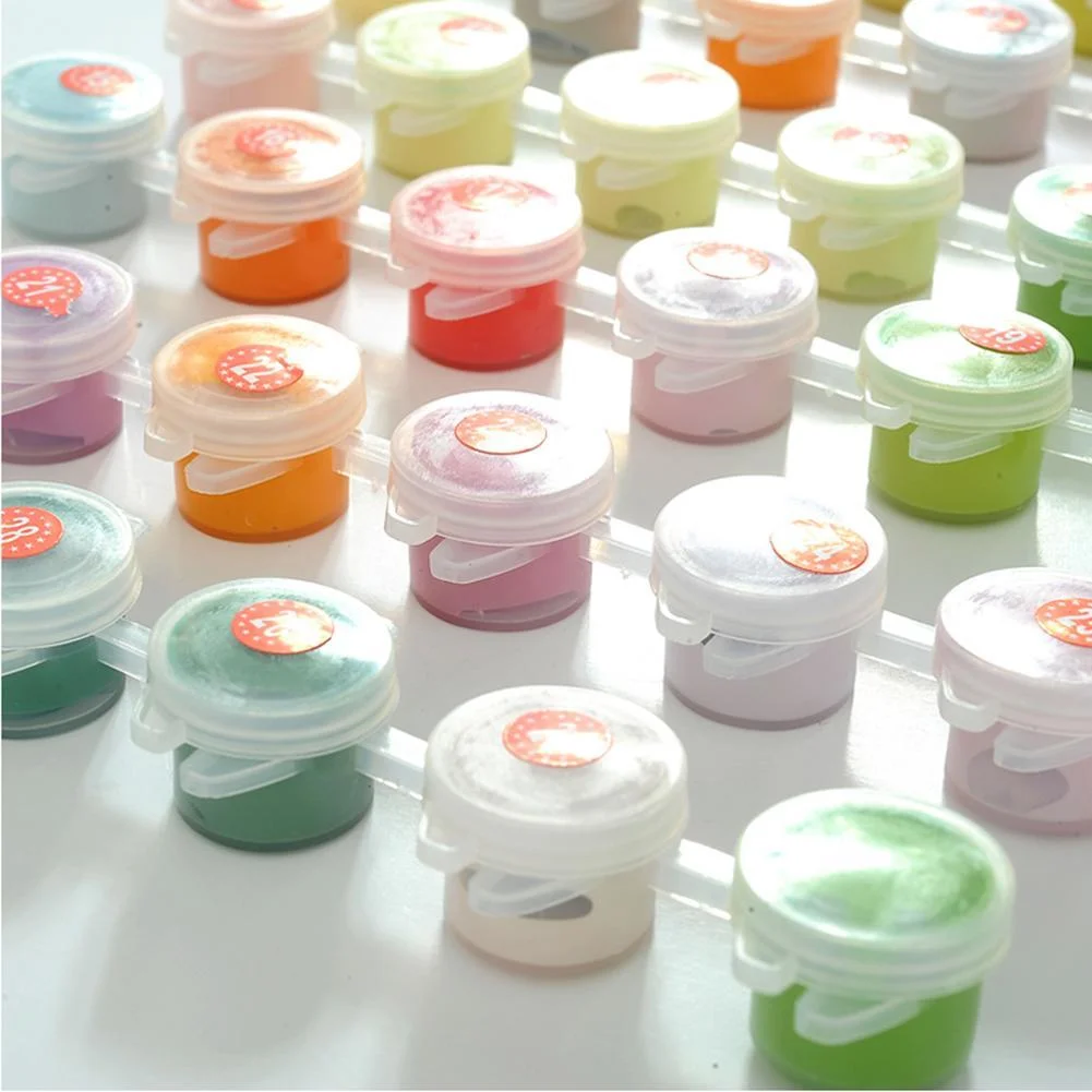 Custom Paint by Numbers Kit