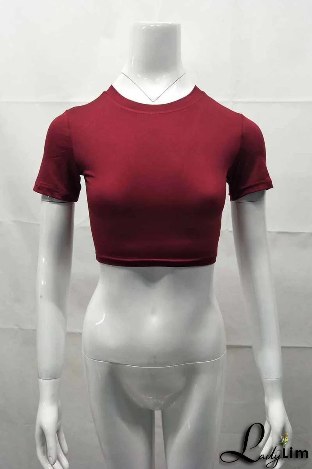 Burgundy Fashion Casual Solid Basic O Neck T-Shirts