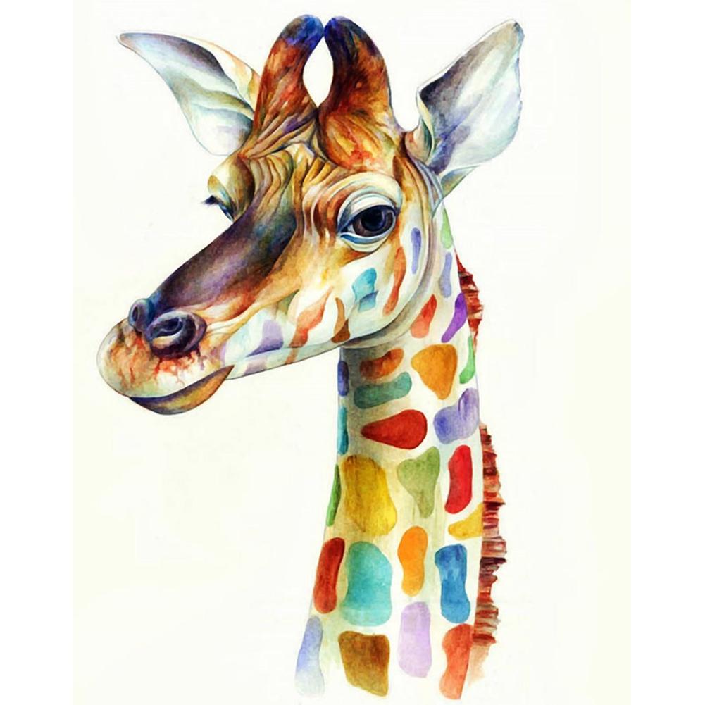 

40x50cm - Paint By Numbers Color Giraffe, 501 Original