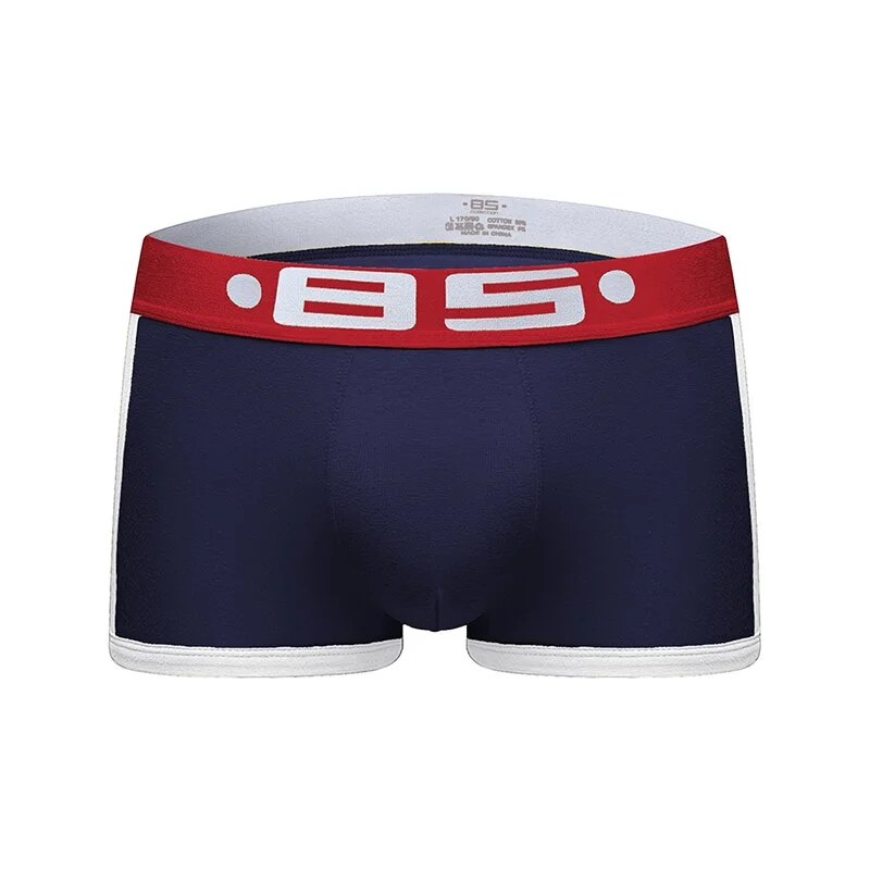 Aonga   Men's Underwear Brand Boxers Cotton Boxer BS101 Men Briefs Underwear Boy Briefs