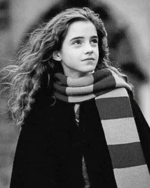 Black And White Hermione Granger - NEW Paint By Numbers