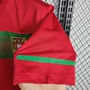 2010 Retro Portugal Home Football Shirt 1:1 Thai Quality