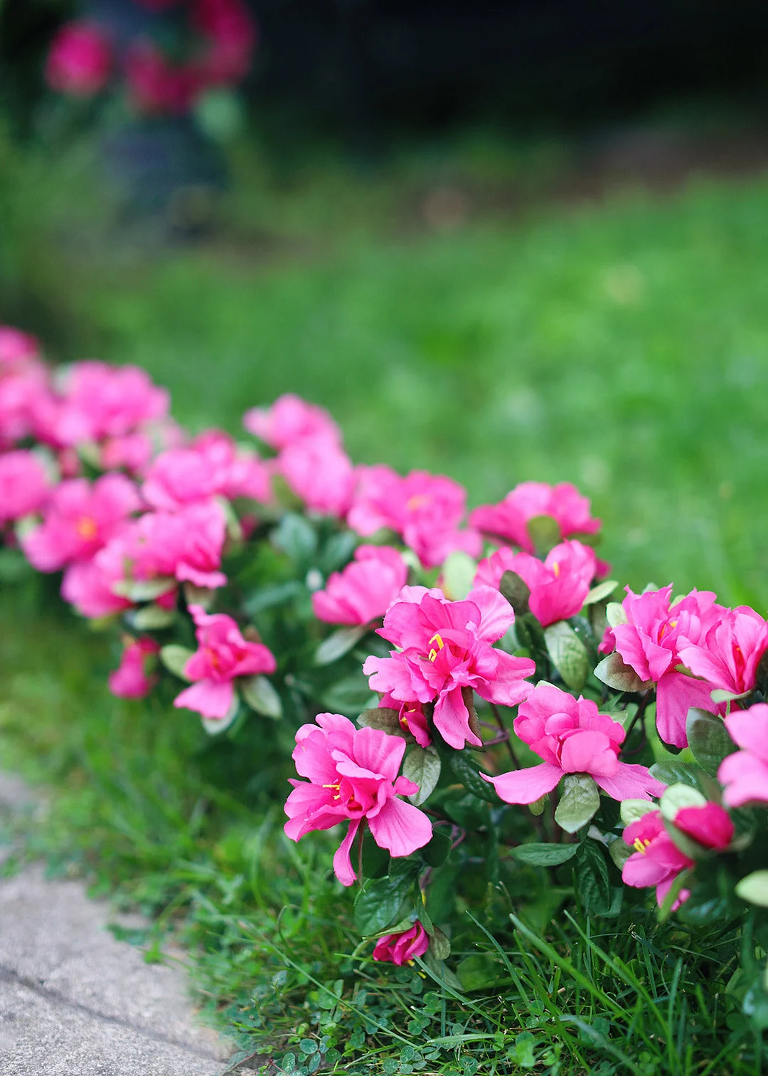 Azalea Silk Flowers Bush in Fuchsia - 13"