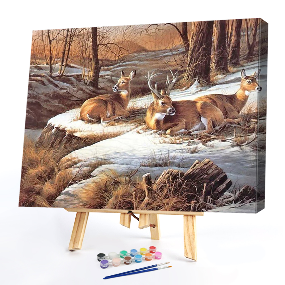 

50*40CM - Paint By Numbers - Snowfield Deer, 501 Original
