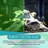 (2024 New Year Hot Sale)-NEW Algae Repellent Agent