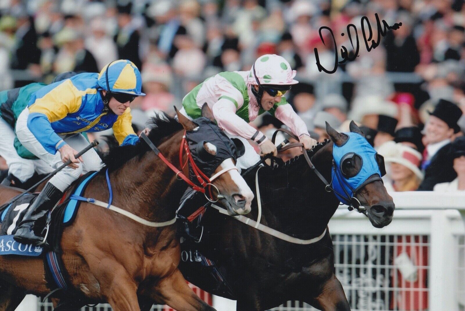 Neil Callan Hand Signed 12x8 Photo Poster painting - Horse Racing Autograph.