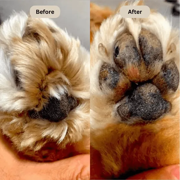 FreshPaws&trade; Electric Fur Trimmer