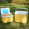 15L Camping Cooler Box Insulated Ice Chest Portable Ice Bucket for Outdoor Use