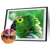 uk.everydayedeals (Limited Stock)Diamond Painting - Full Square - Eagle