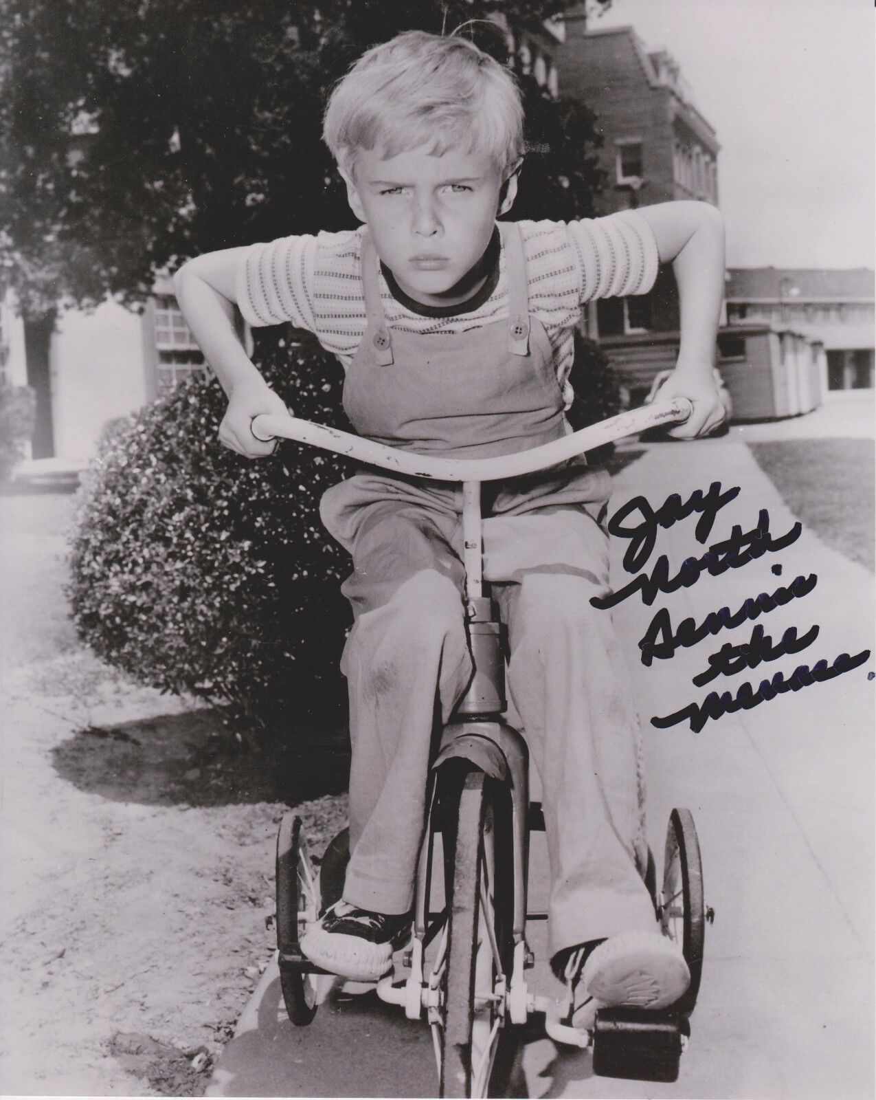 Jay North Dennis The Menace 4 Original Autographed 8X10 Photo Poster painting