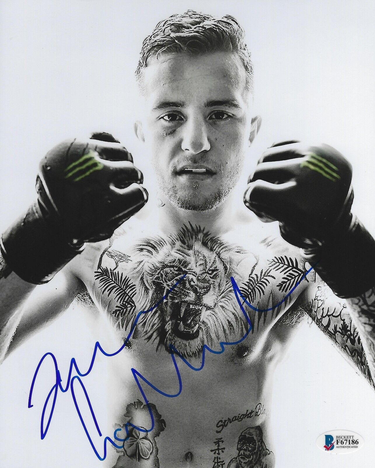 James Gallagher Signed 8x10 Photo Poster painting BAS Beckett COA Bellator MMA Picture Auto'd 86