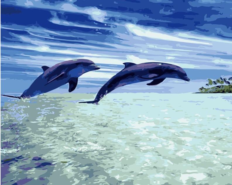 

Dolphin Show In The Ocean – Paint By Numbers - 40*50CM, 501 Original
