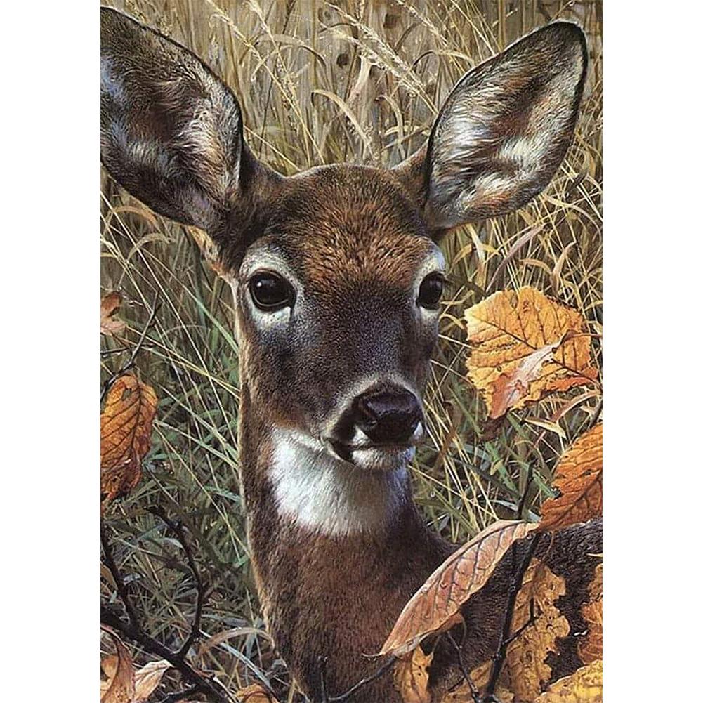 

30*40CM - Animal - Round Drill Diamond Painting, 501 Original