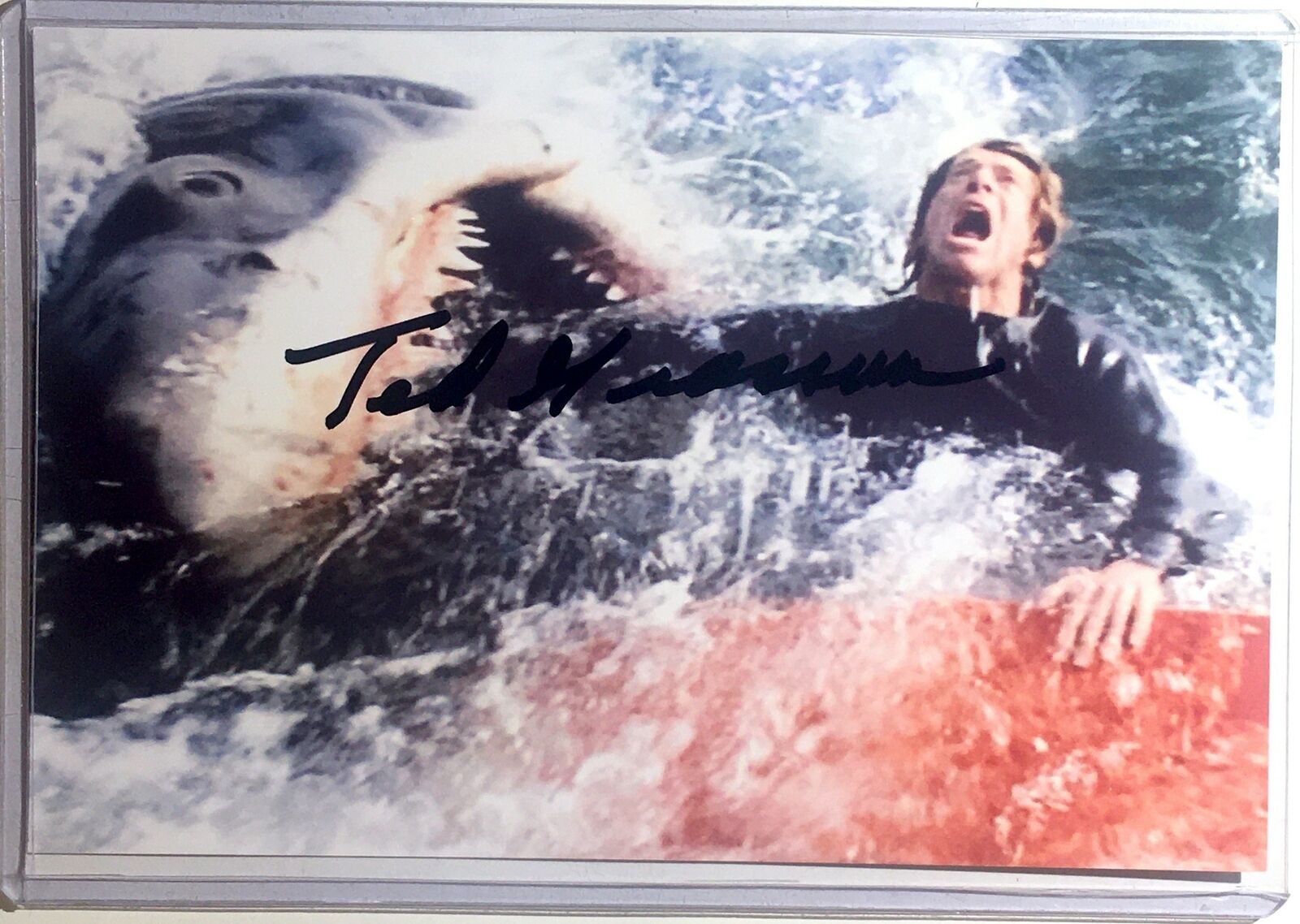 Ted Grossman Signed 4x6 Photo Poster painting E.T. The Extra Terrestrial Jaws Autograph Auto