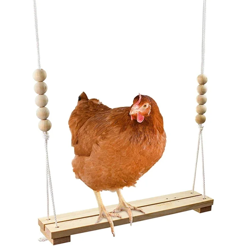 Chicken Swing Toy