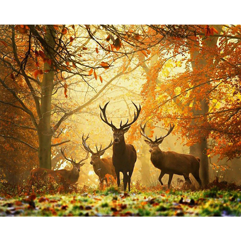 

Deer - Round Drill Diamond Painting - 40*30CM, 501 Original