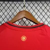 2024 Wales HomeFootball Shirt 1:1 Thai Quality