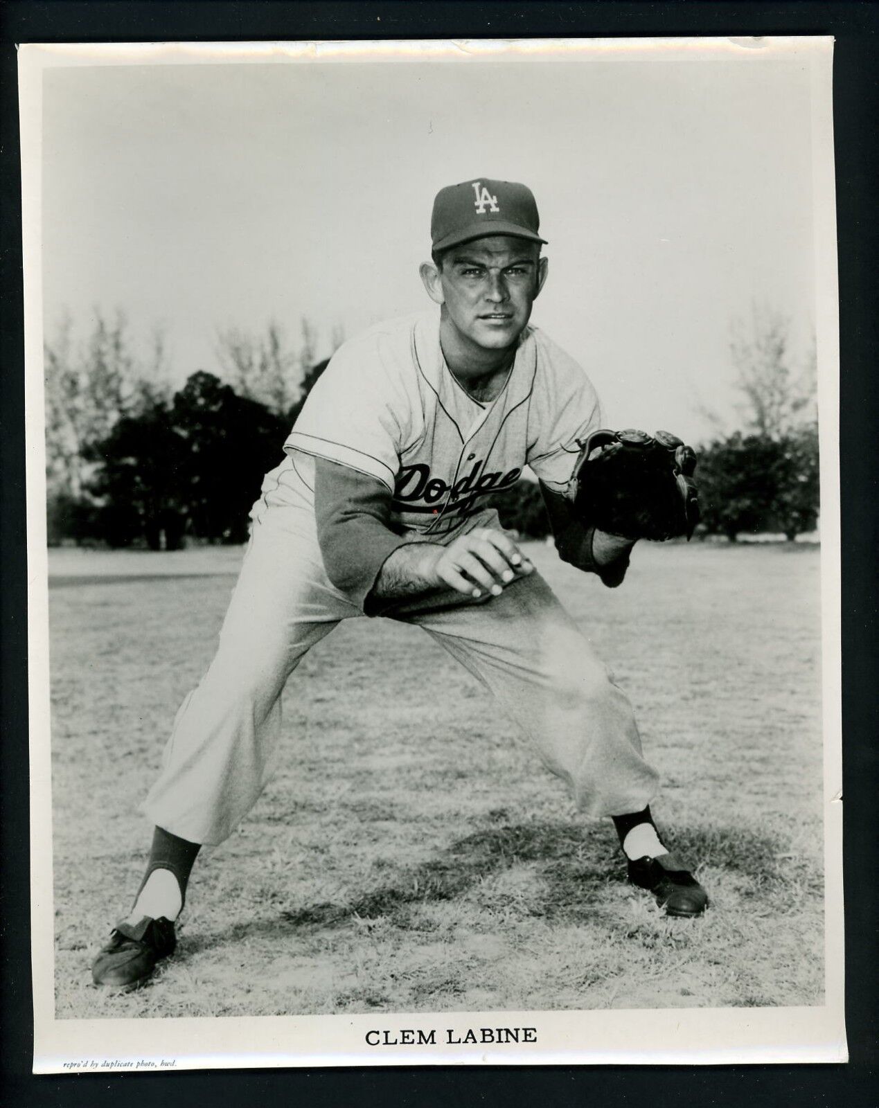 Clem Labine circa 1958 Press Wire Photo Poster painting Los Angeles Dodgers