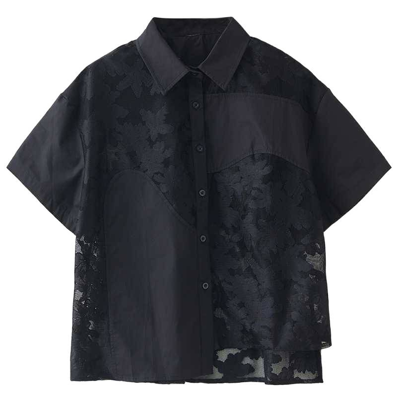 Elegant Lace See-Through Short Sleeve Blouse