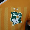 2022 Player Version C&ocirc;te d'Ivoire National Team Home Shirt