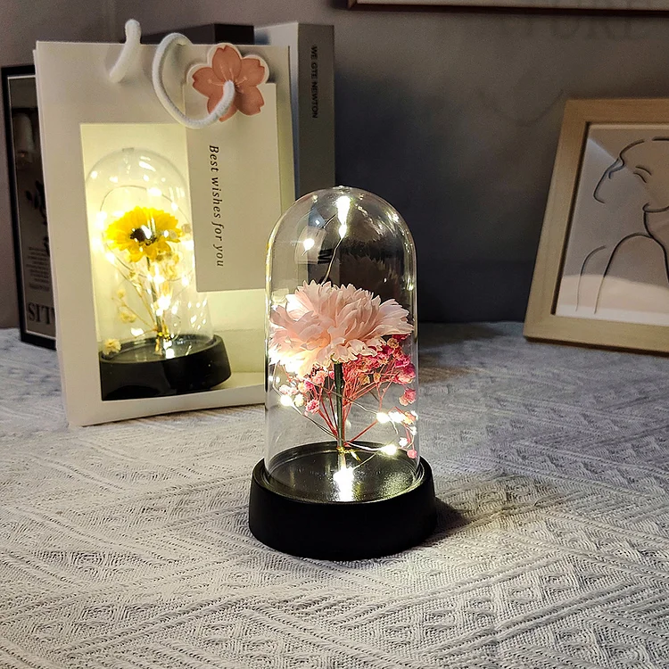 Mini Plastic Lamp Shade Night Light Ornament Preserved Flower