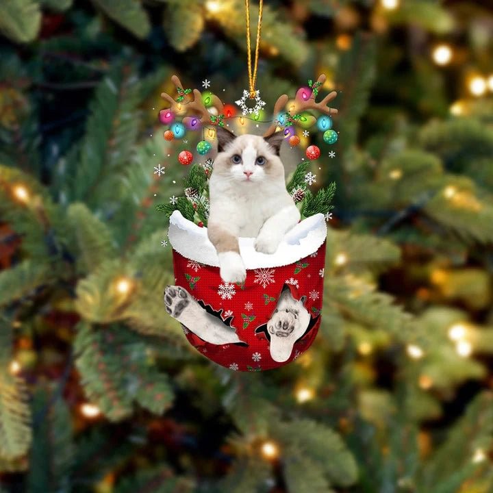 Ragdoll Cat In Snow Pocket Christmas Ornament