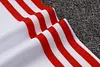 Joyfball 2025/2026 Bayern Munich Half-Pull Training Suit 125-Year Anniversary Football Shirt 1:1 Thai Quality