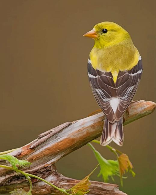 

Brown And Yellow Bird – Paint By Numbers - 40*50CM, 501 Original
